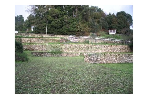 Farm i Sever do Vouga, Aveiro, Sever do Vouga - € 500.000 | Ref: VIL_190 - foto 16