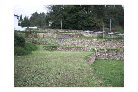 Farm i Sever do Vouga, Aveiro, Sever do Vouga - € 500.000 | Ref: VIL_190 - foto 18