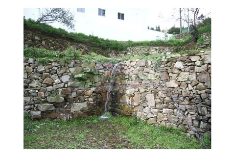 Farm i Sever do Vouga, Aveiro, Sever do Vouga - € 500.000 | Ref: VIL_190 - foto 23