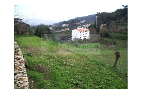 Farm i Sever do Vouga, Aveiro, Sever do Vouga - € 500.000 | Ref: VIL_190 - foto 26