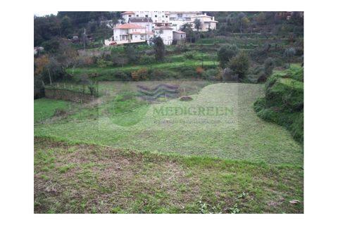 Farm i Sever do Vouga, Aveiro, Sever do Vouga - € 500.000 | Ref: VIL_190 - foto 27