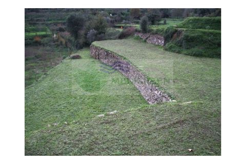 Farm i Sever do Vouga, Aveiro, Sever do Vouga - € 500.000 | Ref: VIL_190 - foto 29