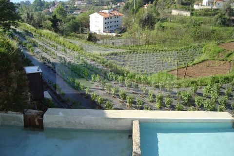 Farm i Sever do Vouga, Aveiro, Sever do Vouga - € 500.000 | Ref: VIL_190 - foto 30