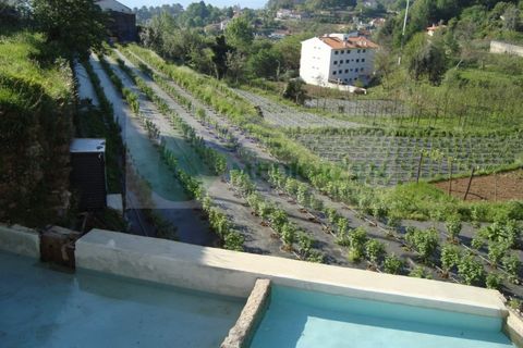 Farm i Sever do Vouga, Aveiro, Sever do Vouga - € 500.000 | Ref: VIL_190 - foto 31