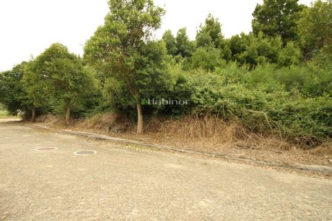 Helårsgrund i Venade e Azevedo, Viana do Castelo, Venade e Azevedo - € 45.000 | Ref: 1240 - foto 2