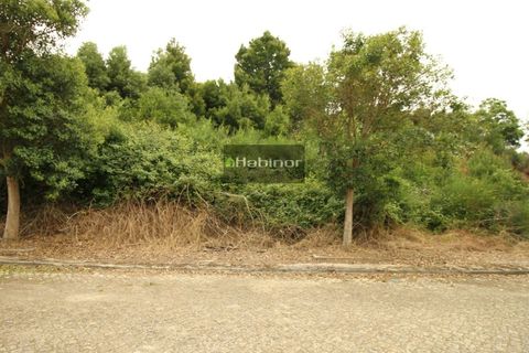 Helårsgrund i Venade e Azevedo, Viana do Castelo, Venade e Azevedo - € 45.000 | Ref: 1240 - foto 3