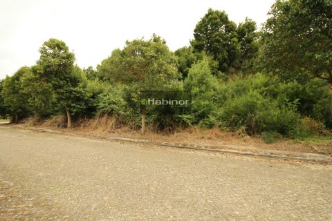 Helårsgrund i Venade e Azevedo, Viana do Castelo, Venade e Azevedo - € 45.000 | Ref: 1240 - foto 6