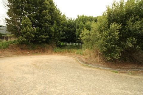 Grond in Venade e Azevedo, Viana do Castelo, Venade e Azevedo - € 45.000 | Ref: 1239 - foto 5