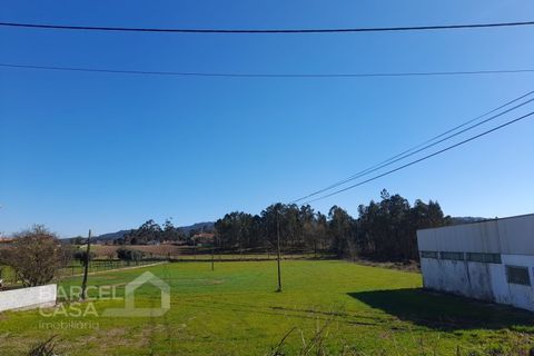 Helårsgrund i Alvito, Beja, Alvito - € 275.000 | Ref: 29/23 - foto 2