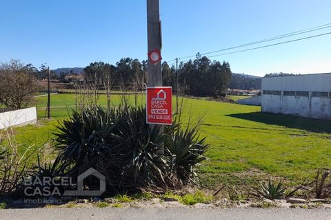 Helårsgrund i Alvito, Beja, Alvito - € 275.000 | Ref: 29/23 - foto 3