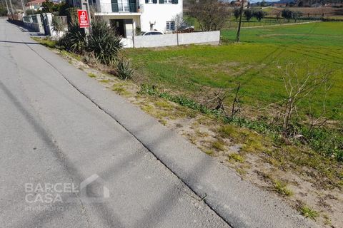 Helårsgrund i Alvito, Beja, Alvito - € 275.000 | Ref: 29/23 - foto 4