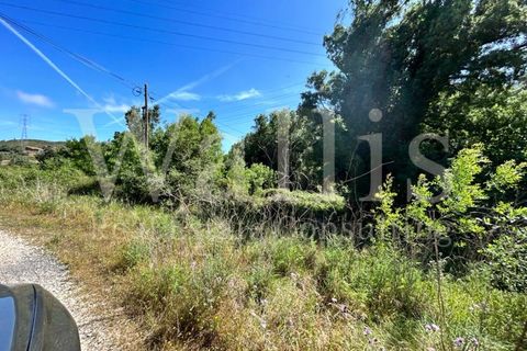 Farm i Belas, Lisbon, Belas - € 3.863.000 | Ref: W4546 - foto 3