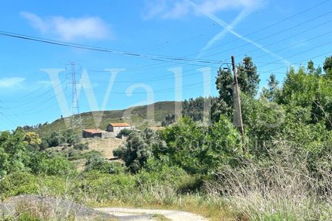 Farm i Belas, Lisbon, Belas - € 3.863.000 | Ref: W4546 - foto 4