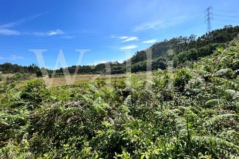 Farm i Belas, Lisbon, Belas - € 3.863.000 | Ref: W4546 - foto 6