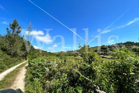 Farm i Belas, Lisbon, Belas - € 3.863.000 | Ref: W4546 - foto 7