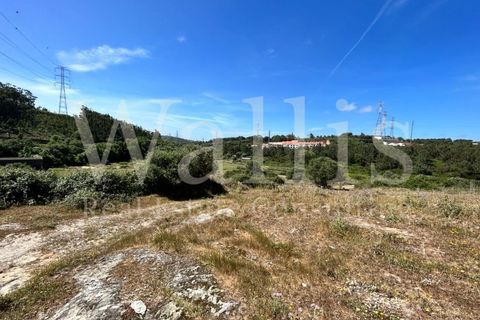 Farm i Belas, Lisbon, Belas - € 3.863.000 | Ref: W4546 - foto 9