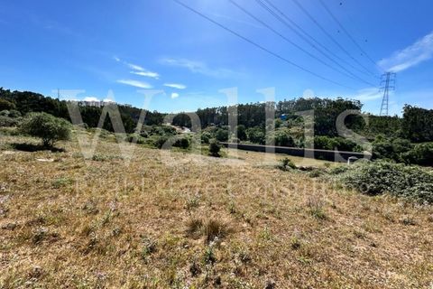 Farm i Belas, Lisbon, Belas - € 3.863.000 | Ref: W4546 - foto 10