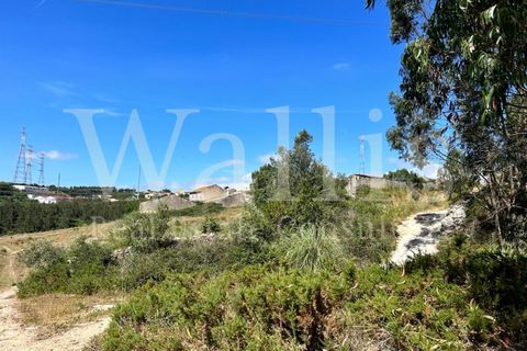 Farm i Belas, Lisbon, Belas - € 3.863.000 | Ref: W4546 - foto 12