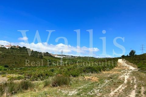 Farm i Belas, Lisbon, Belas - € 3.863.000 | Ref: W4546 - foto 13