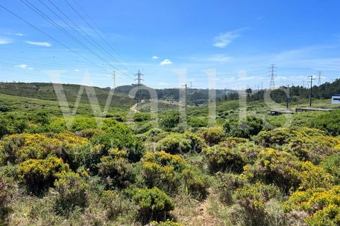Farm i Belas, Lisbon, Belas - € 3.863.000 | Ref: W4546 - foto 15
