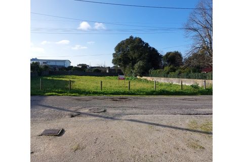 Tomt i Monte Real, Leiria, Monte Real - € 65 000 | Ref: mg1756 - foto 2