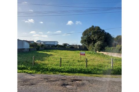 Tomt i Monte Real, Leiria, Monte Real - € 65 000 | Ref: mg1756 - foto 3
