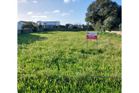 Tomt i Monte Real, Leiria, Monte Real - € 65 000 | Ref: mg1756 - foto 4