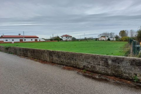 Helårsgrund i Monte Real, Leiria, Monte Real - € 115.000 | Ref: mg1754 - foto 1