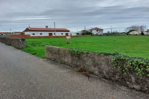 Helårsgrund i Monte Real, Leiria, Monte Real - € 115.000 | Ref: mg1754 - foto 2