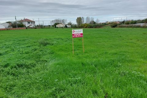 Helårsgrund i Monte Real, Leiria, Monte Real - € 115.000 | Ref: mg1754 - foto 3