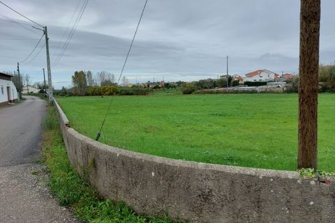 Helårsgrund i Monte Real, Leiria, Monte Real - € 115.000 | Ref: mg1754 - foto 6