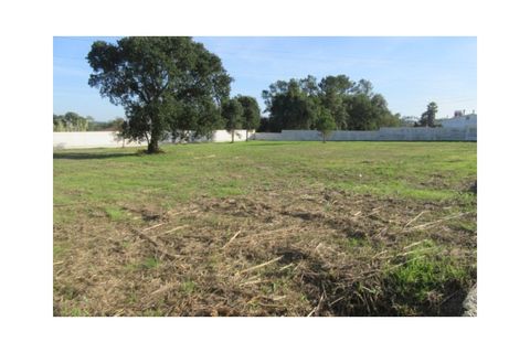 Tomt i Monte Real, Leiria, Monte Real - € 38 000 | Ref: mg1508-1 - foto 3