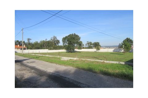 Tomt i Monte Real, Leiria, Monte Real - € 38 000 | Ref: mg1508-1 - foto 4
