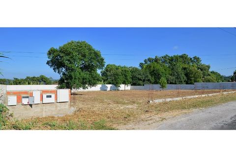 Tomt i Monte Real, Leiria, Monte Real - € 38 000 | Ref: mg1508-1 - foto 5