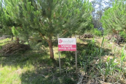 Tomt i Monte Real, Leiria, Monte Real - € 50 000 | Ref: mg1688 - foto 2