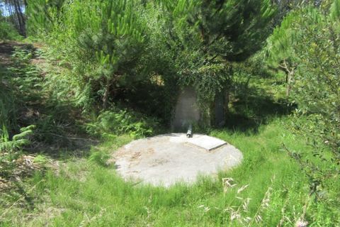 Tomt i Monte Real, Leiria, Monte Real - € 50 000 | Ref: mg1688 - foto 3