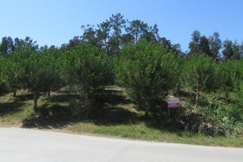 Tomt i Monte Real, Leiria, Monte Real - € 50 000 | Ref: mg1688 - foto 5