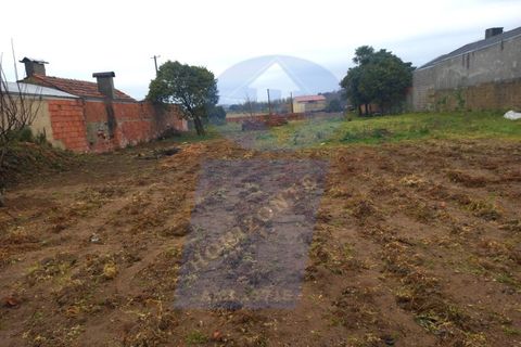 Terra a Oia, Aveiro, Oia - € 45.000 | Ref: TER_1013 - foto 2