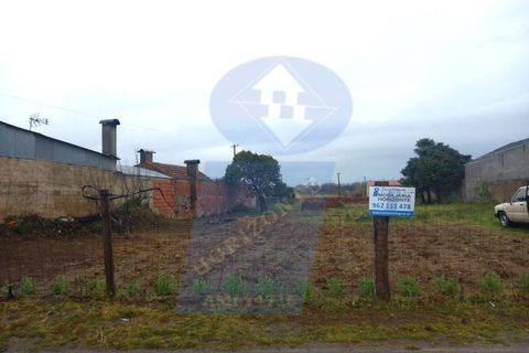 Terra a Oia, Aveiro, Oia - € 45.000 | Ref: TER_1013 - foto 5