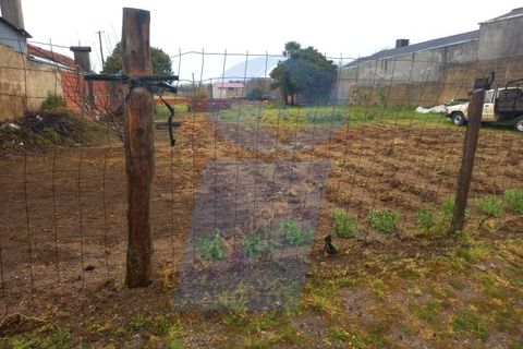 Terra a Oia, Aveiro, Oia - € 45.000 | Ref: TER_1013 - foto 3