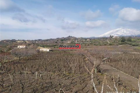 Helårsgrund i Biancavilla, Catania, Biancavilla - € 100.000 | Ref: 2472 - foto 4