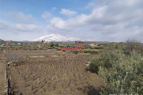 Helårsgrund i Biancavilla, Catania, Biancavilla - € 100.000 | Ref: 2472 - foto 7