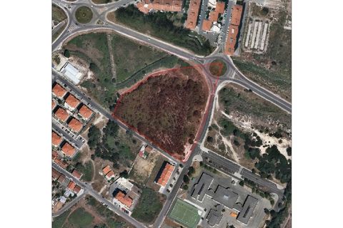 Helårsgrund i Santo Onofre e Serra do Bouro, Leiria, Santo Onofre e Serra do Bouro - € 1.300.000 | Ref: BL520 - foto 3