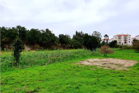 Helårsgrund i Santo Onofre e Serra do Bouro, Leiria, Santo Onofre e Serra do Bouro - € 1.300.000 | Ref: BL520 - foto 1