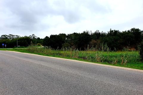 Helårsgrund i Santo Onofre e Serra do Bouro, Leiria, Santo Onofre e Serra do Bouro - € 1.300.000 | Ref: BL520 - foto 5