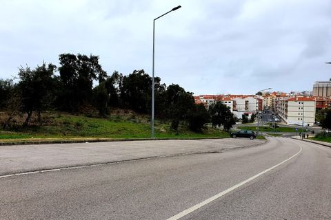 Helårsgrund i Santo Onofre e Serra do Bouro, Leiria, Santo Onofre e Serra do Bouro - € 1.300.000 | Ref: BL520 - foto 6