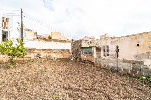 Tomt i Capdepera, Mallorca, Capdepera - € 440 000 | Ref: AGP1013RB/3010 - foto 3
