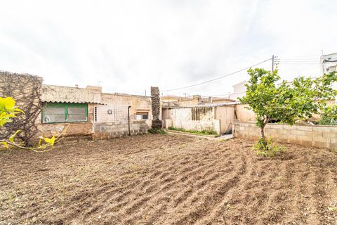 Tomt i Capdepera, Mallorca, Capdepera - € 440 000 | Ref: AGP1013RB/3010 - foto 4