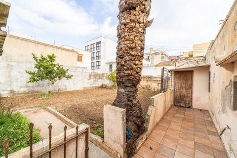 Tomt i Capdepera, Mallorca, Capdepera - € 440 000 | Ref: AGP1013RB/3010 - foto 5