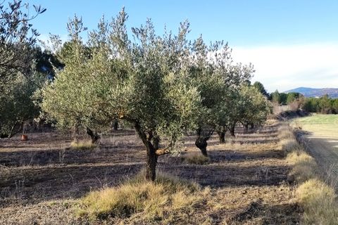 Helårsgrund i Agres, Alicante, Agres - € 65.000 | Ref: 8180 - foto 10